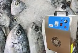 Озонаторы для мясной и рыбной промышленности
