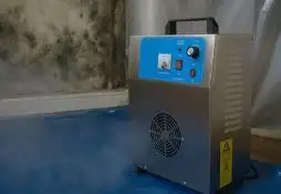 Озонаторы от плесени