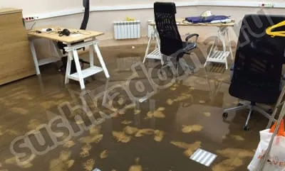Просушка офисов после залива водой