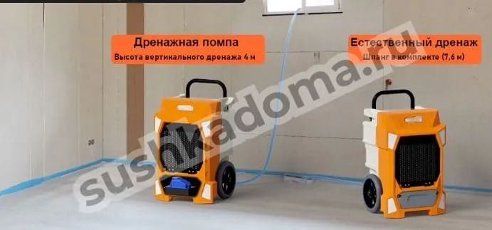 Осушитель воздуха для подвала — купить или арендовать