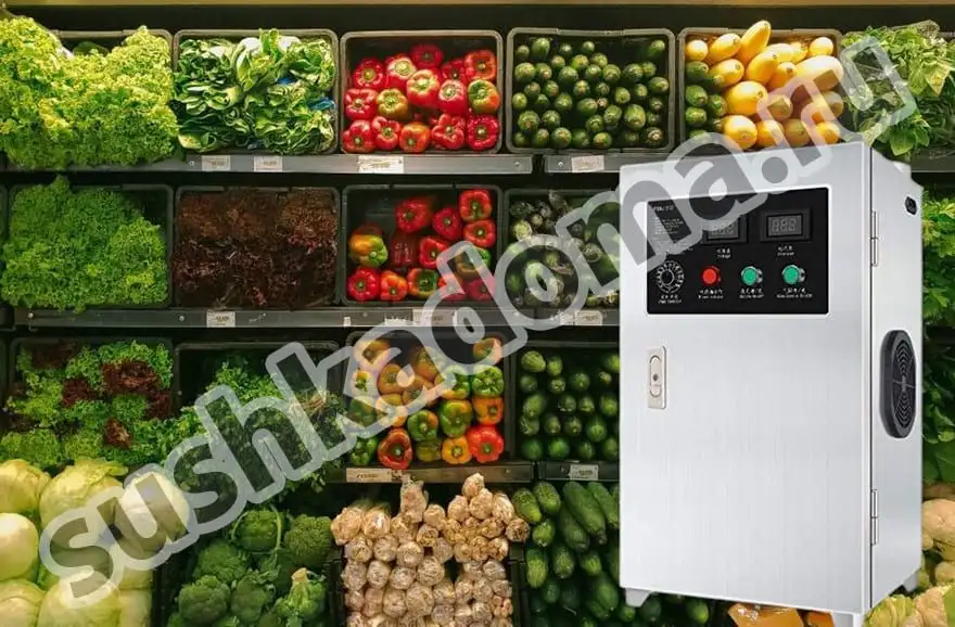 Озонаторы для овощехранилищ – аренда и продажа промышленных озонаторов для хранения овощей и фруктов