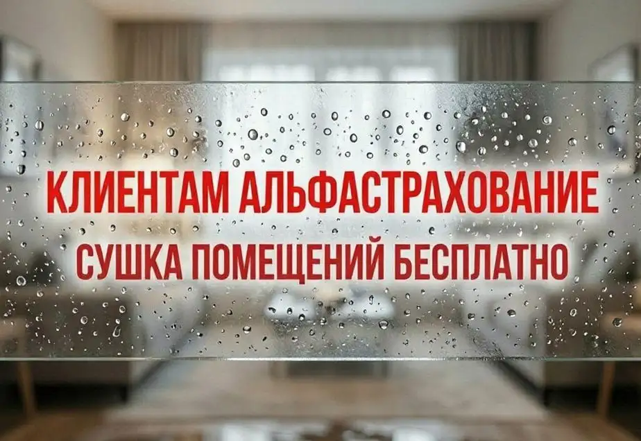 cушка помещений бесплатно