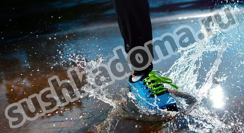 Избавим фитнес-зал от последствий залива водой