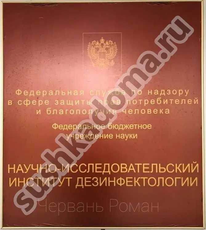 Как избавиться от плесени в швах плитки – профессиональная помощь