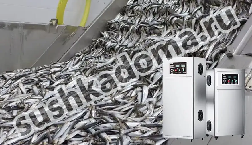 Озонаторы для мясной и рыбной промышленности — аренда и продажа оборудования