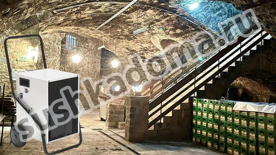 Осушитель воздуха для подвала — купить или арендовать