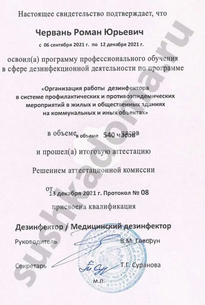 Как избавиться от плесени в швах плитки – профессиональная помощь