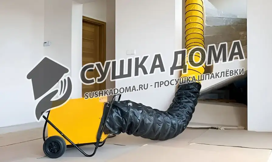 Просушим шпаклёвку во время и после ремонта в Москве