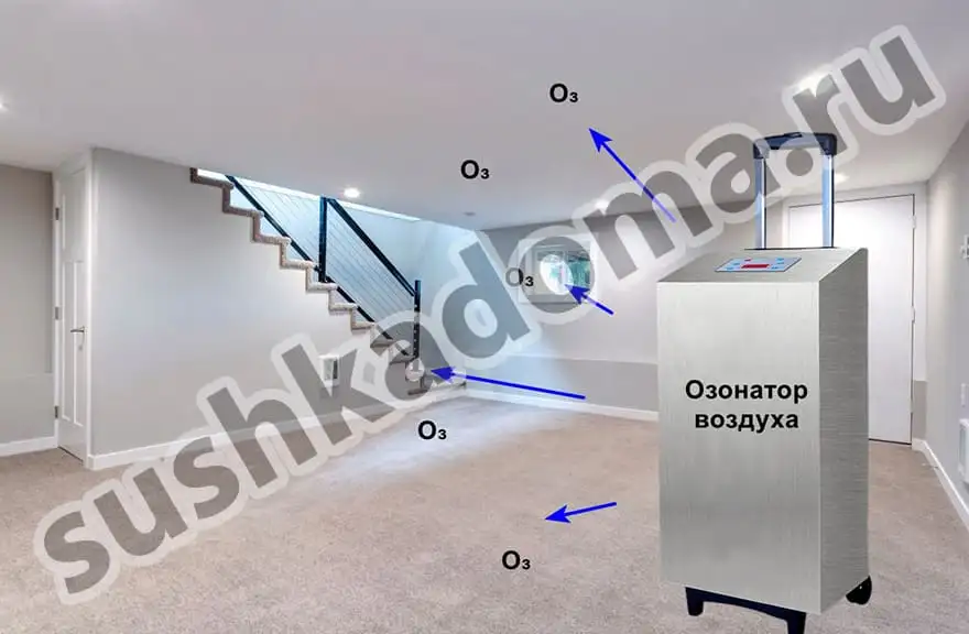 Промышленные озонаторы для подвалов — аренда и продажа