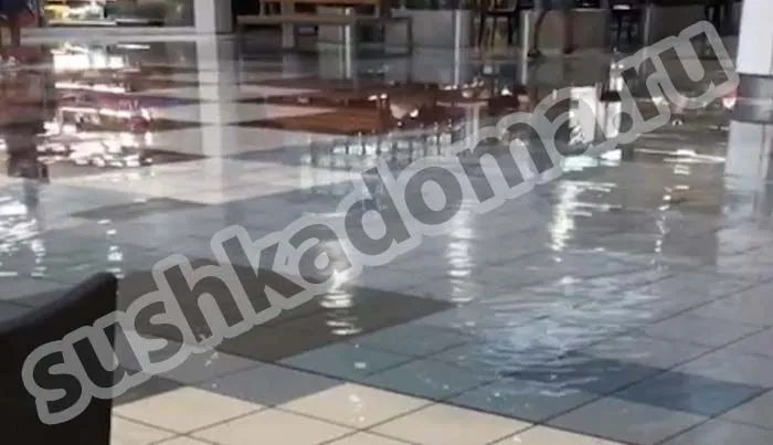 Откачать воду из отеля, гостиницы, хостела