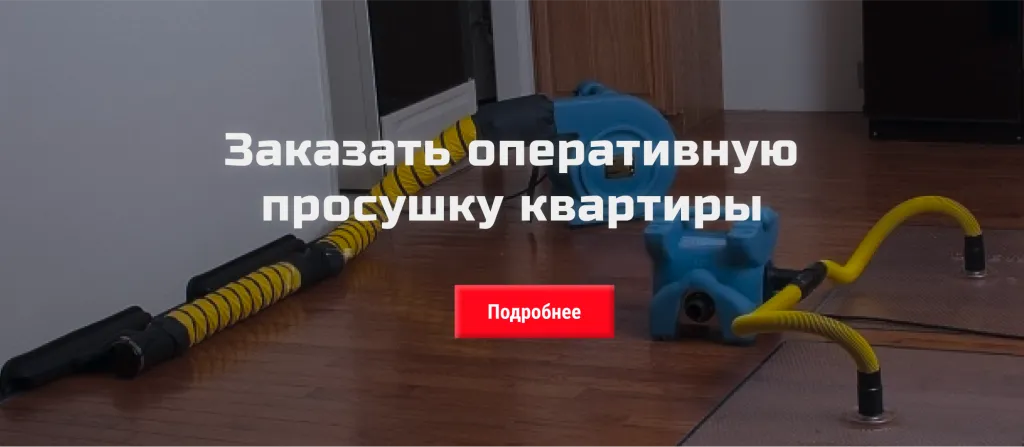 Заказать оперативную просушку квартиры