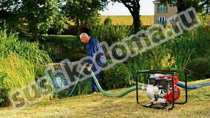 Услуги по откачке воды из прудов