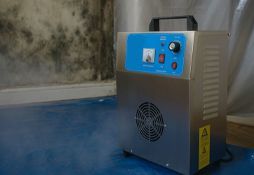 Озонаторы от плесени