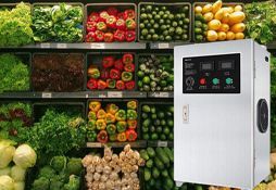 Озонаторы для овощехранилищ