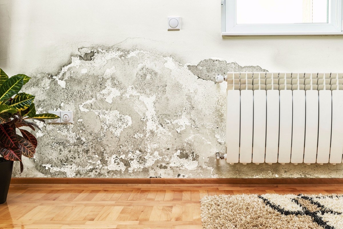 Почему сыреют стены в доме и как это исправить