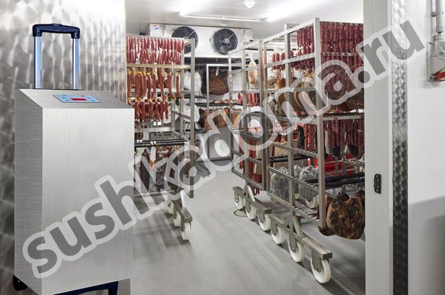 Озонаторы для мясной и рыбной промышленности — аренда и продажа оборудования