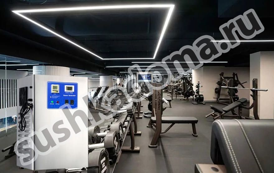 Озонаторы для спортивных объектов – продажа и аренда оборудования для озонирования воздуха