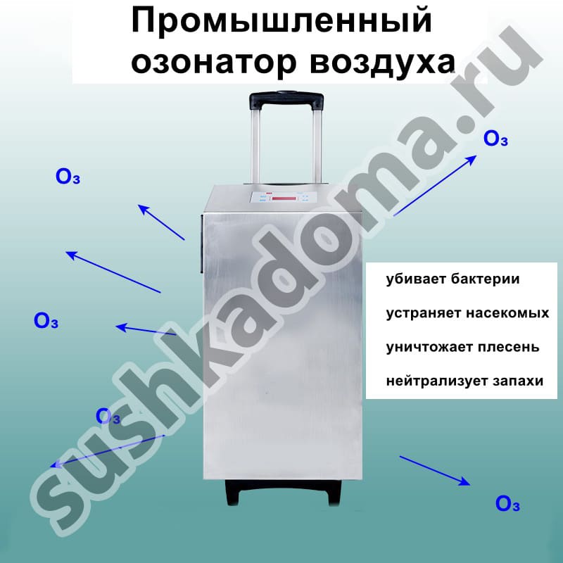 Промышленные озонаторы – аренда и продажа