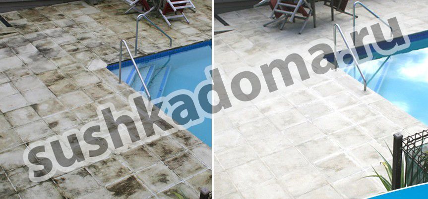 Как избавиться от плесени в бассейне. Услуги профессионалов