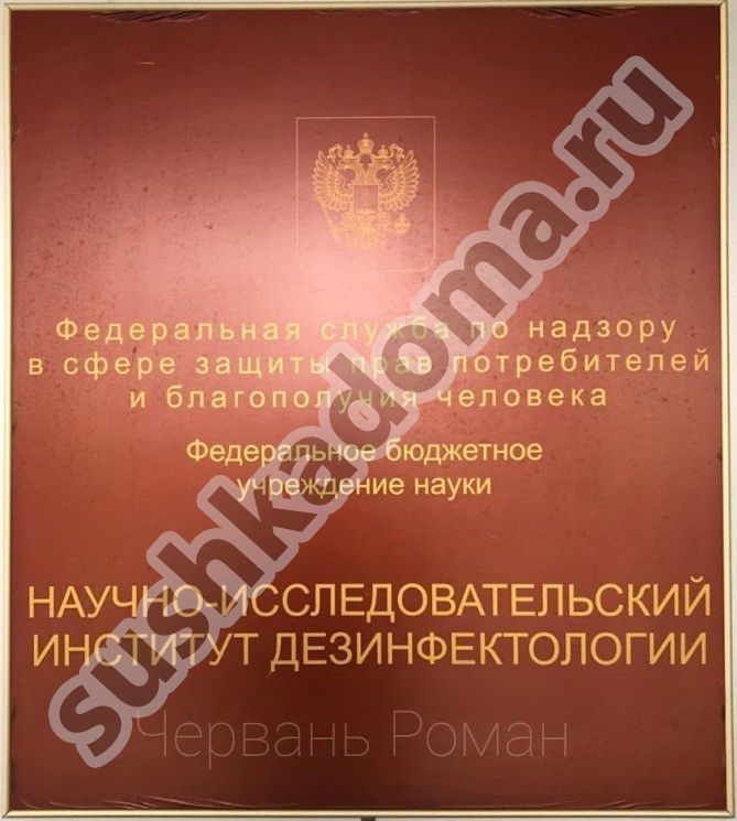 Как избавиться от плесени в швах плитки – профессиональная помощь