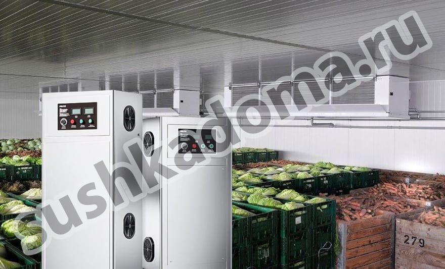 Озонаторы для овощехранилищ – аренда и продажа промышленных озонаторов для хранения овощей и фруктов