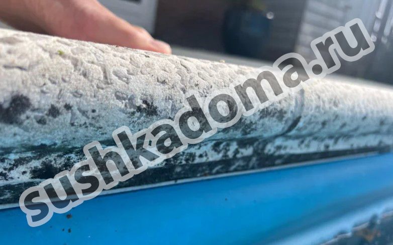 Как избавиться от плесени в бассейне. Услуги профессионалов