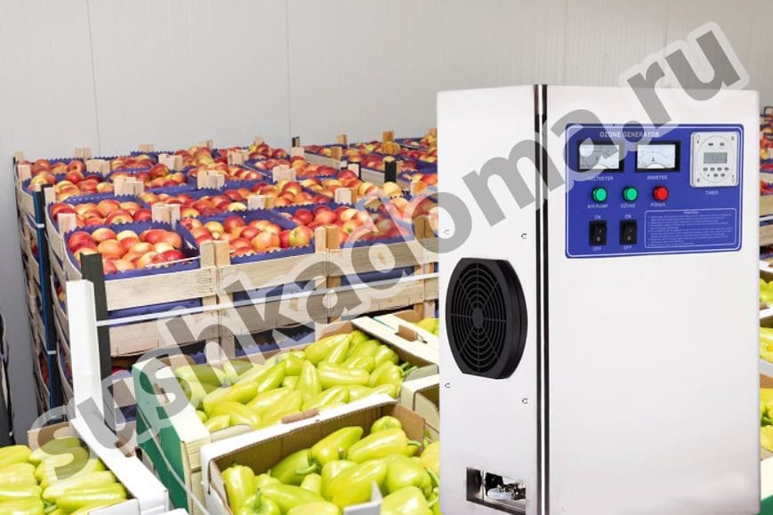 Озонаторы для овощехранилищ – аренда и продажа промышленных озонаторов для хранения овощей и фруктов