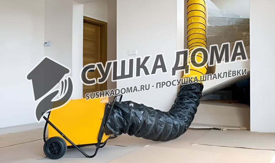 Просушим шпаклёвку во время и после ремонта в Москве