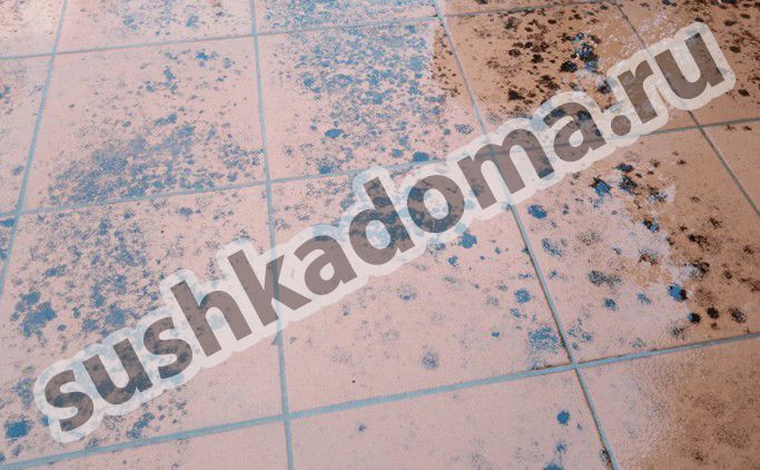 Как избавиться от плесени в швах плитки – профессиональная помощь