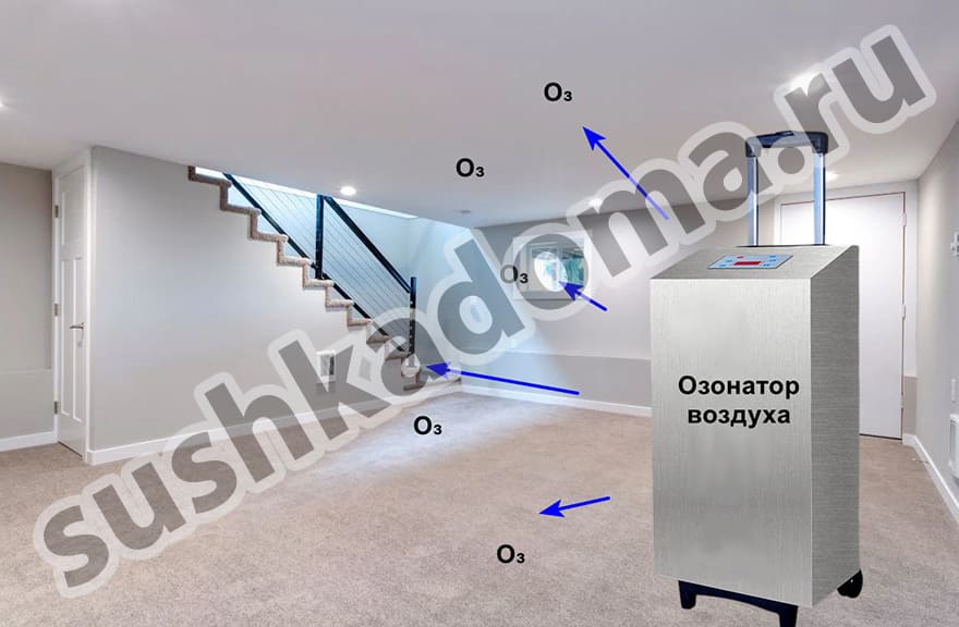 Промышленные озонаторы для подвалов — аренда и продажа