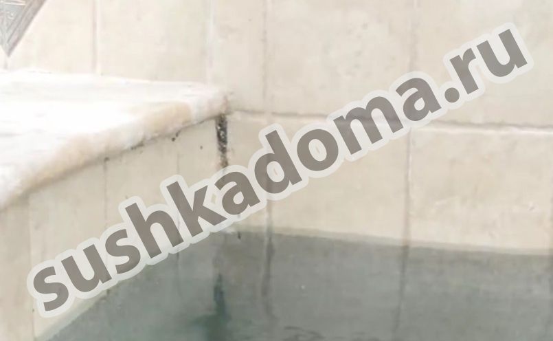 Как избавиться от плесени в бассейне. Услуги профессионалов