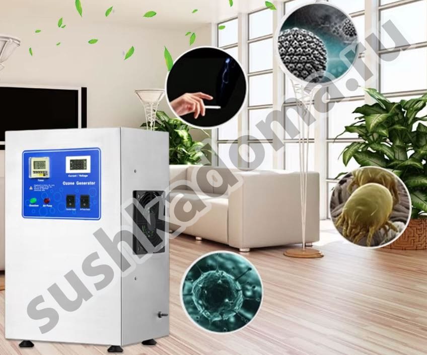 Аренда и продажа озонаторов для частных домов