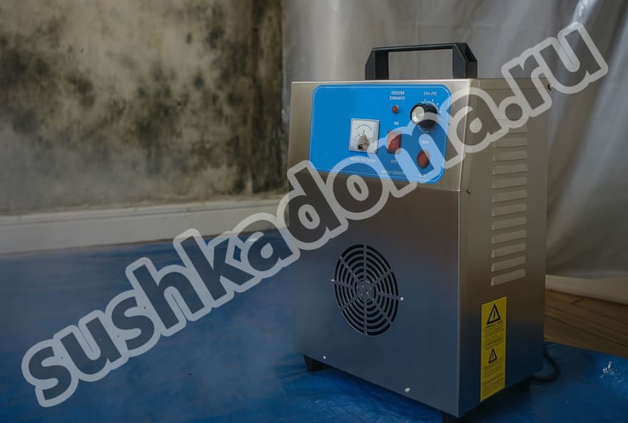 Арендовать или купить озонатор от плесени — дезинфекция и уничтожение грибка