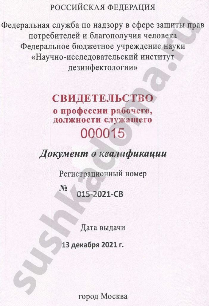 Как избавиться от плесени в швах плитки – профессиональная помощь