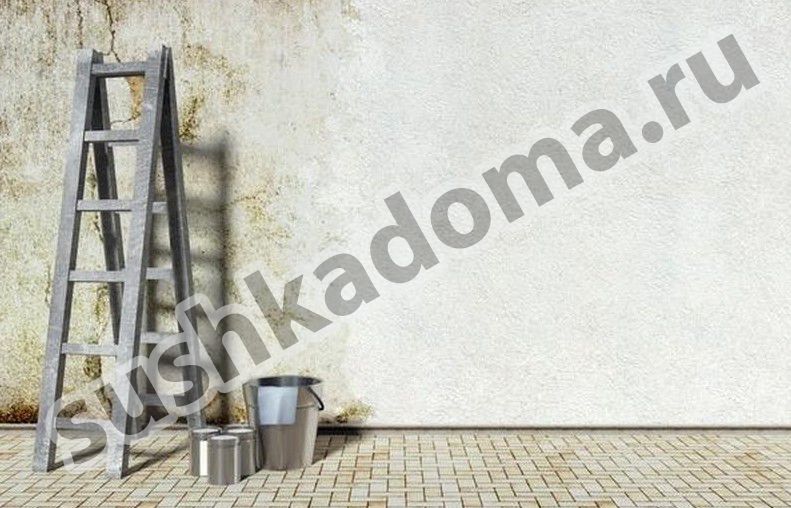 Удаление плесени в бетоне. Комплексный подход