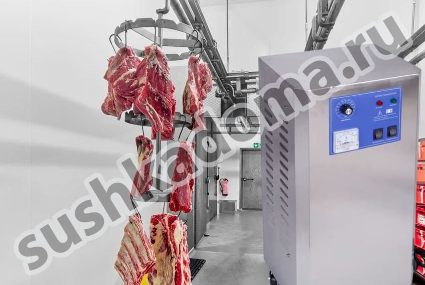 Озонаторы для мясной и рыбной промышленности — аренда и продажа оборудования