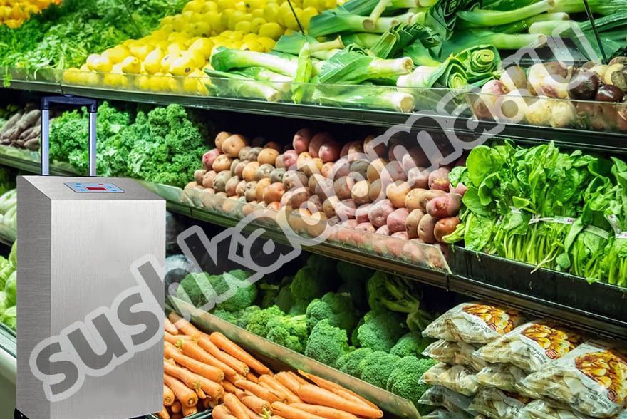 Озонаторы для овощехранилищ – аренда и продажа промышленных озонаторов для хранения овощей и фруктов