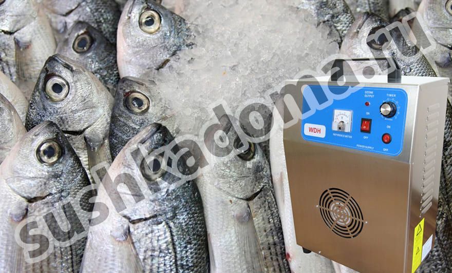 Озонаторы для мясной и рыбной промышленности — аренда и продажа оборудования