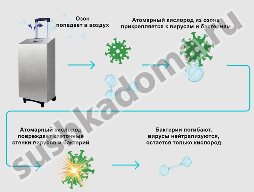 Арендовать или купить озонатор воздуха для дезинфекции помещений